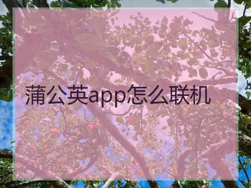 蒲公英app怎么联机