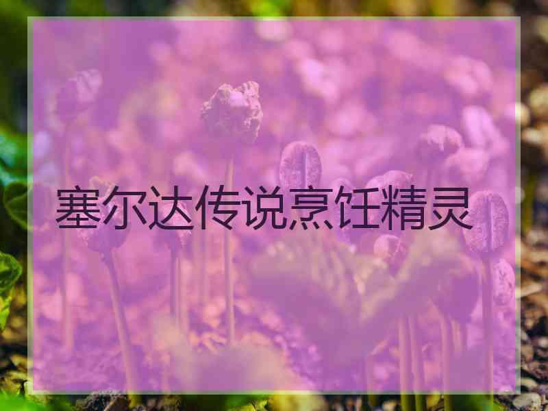 塞尔达传说烹饪精灵