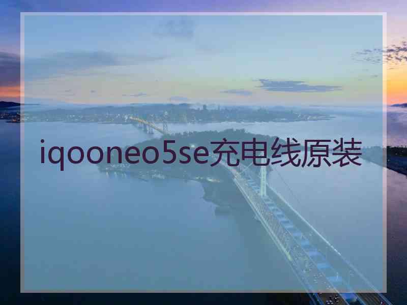 iqooneo5se充电线原装