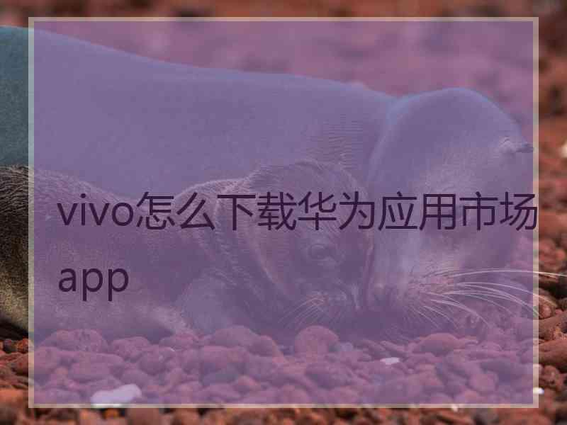 vivo怎么下载华为应用市场app