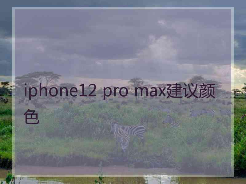 iphone12 pro max建议颜色