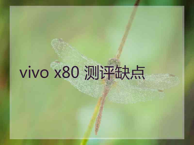 vivo x80 测评缺点