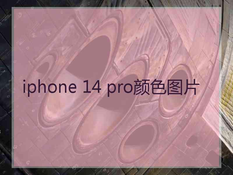 iphone 14 pro颜色图片