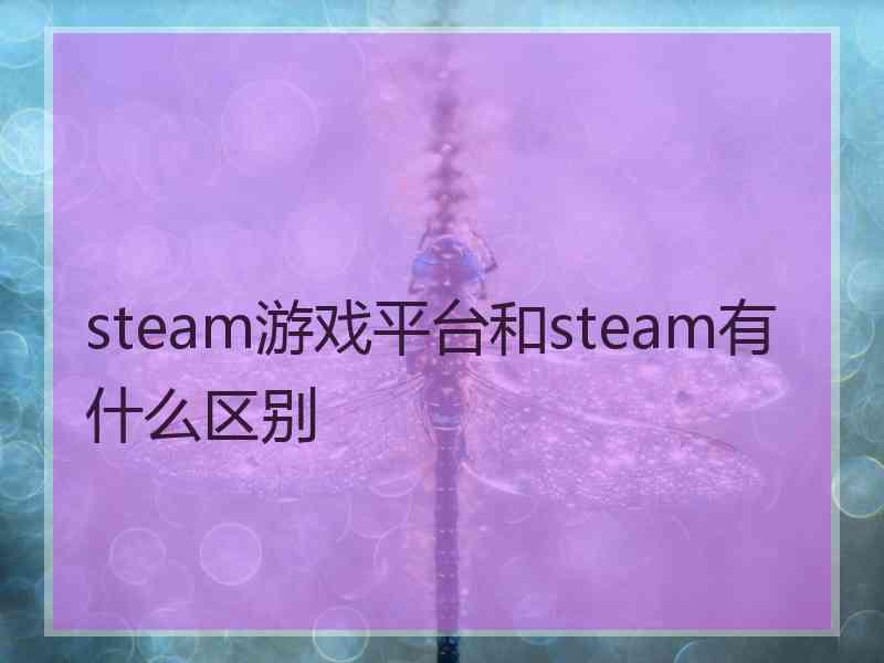 steam游戏平台和steam有什么区别