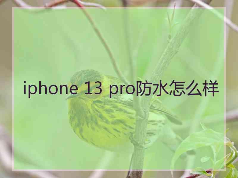 iphone 13 pro防水怎么样