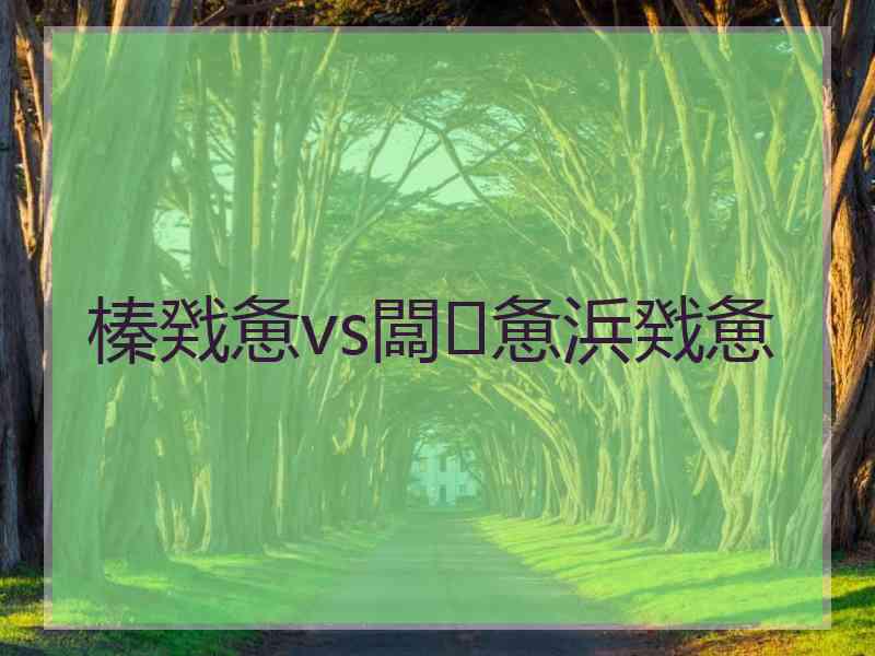 榛戣惫vs闆惫浜戣惫