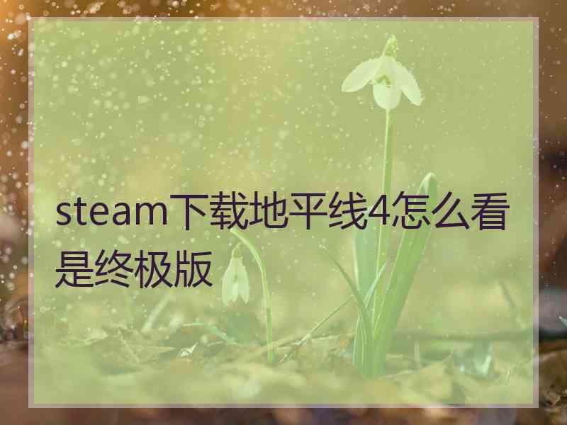 steam下载地平线4怎么看是终极版