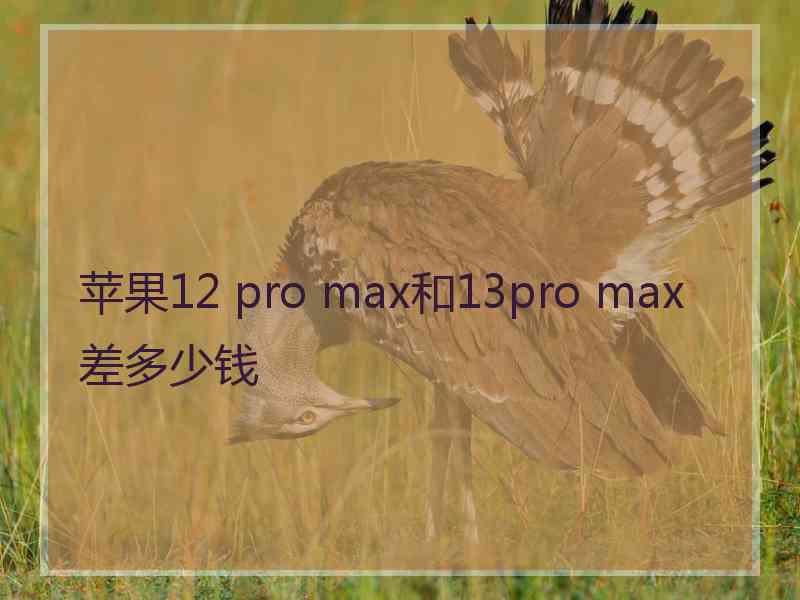 苹果12 pro max和13pro max差多少钱