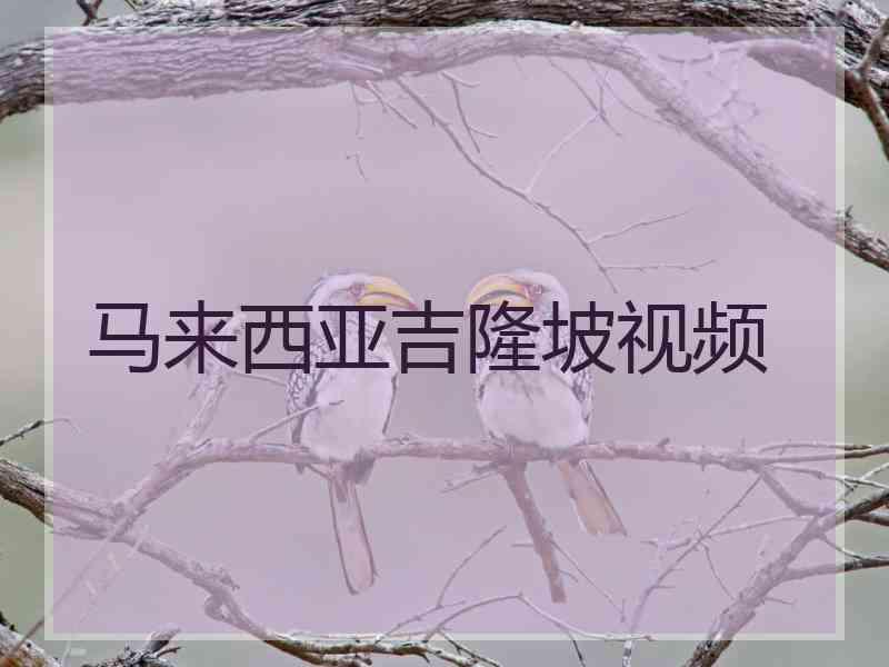 马来西亚吉隆坡视频