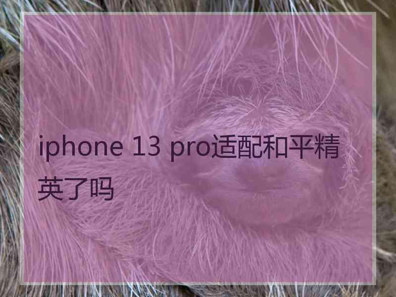 iphone 13 pro适配和平精英了吗