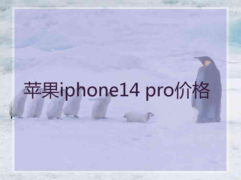 苹果iphone14 pro价格