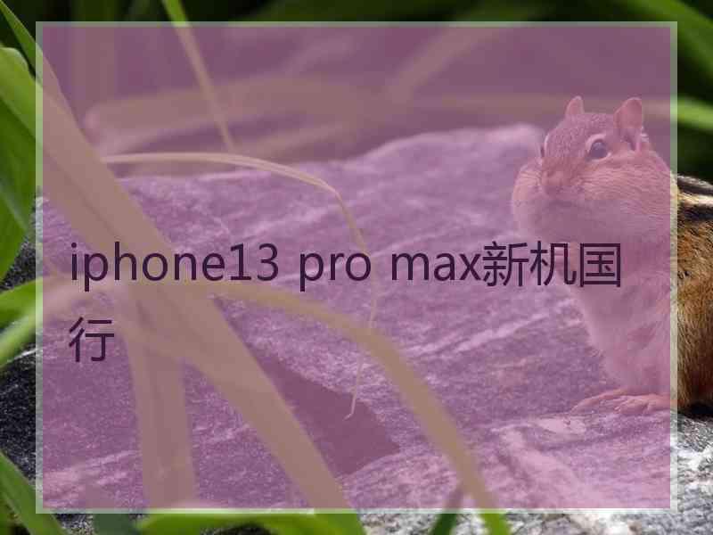 iphone13 pro max新机国行