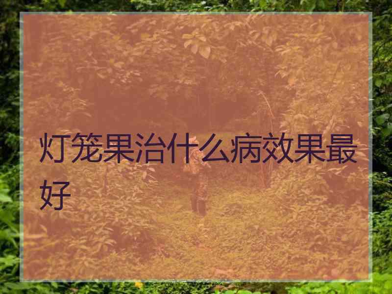 灯笼果治什么病效果最好