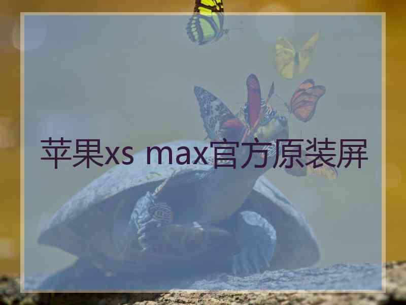 苹果xs max官方原装屏