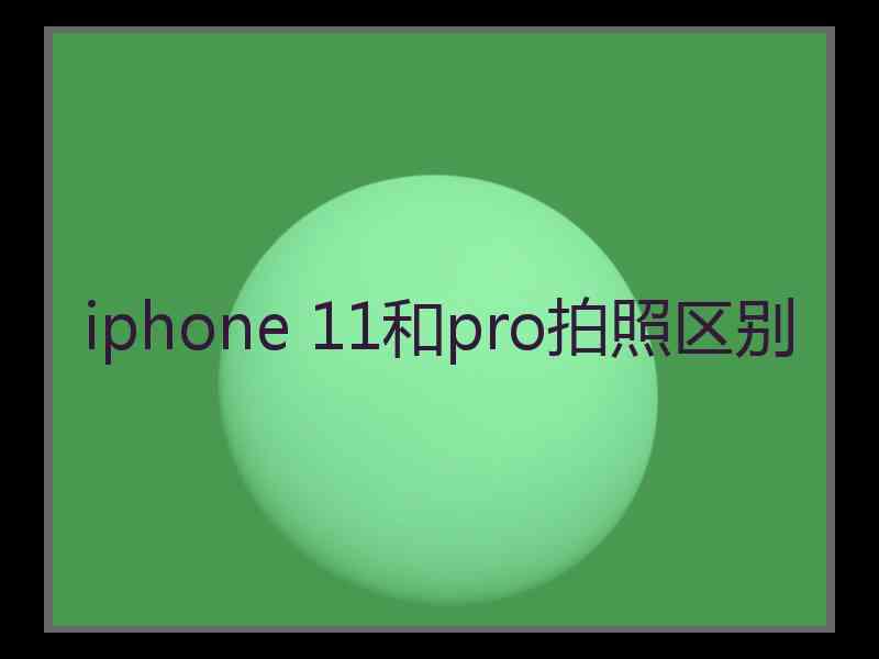 iphone 11和pro拍照区别