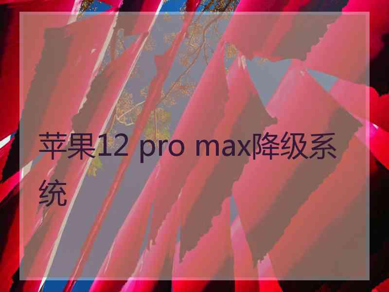 苹果12 pro max降级系统