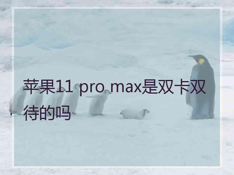 苹果11 pro max是双卡双待的吗