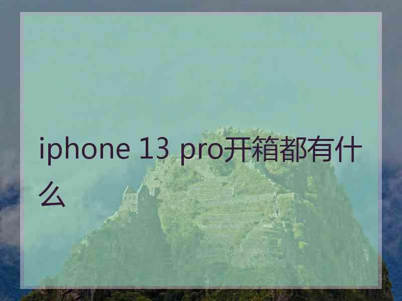 iphone 13 pro开箱都有什么