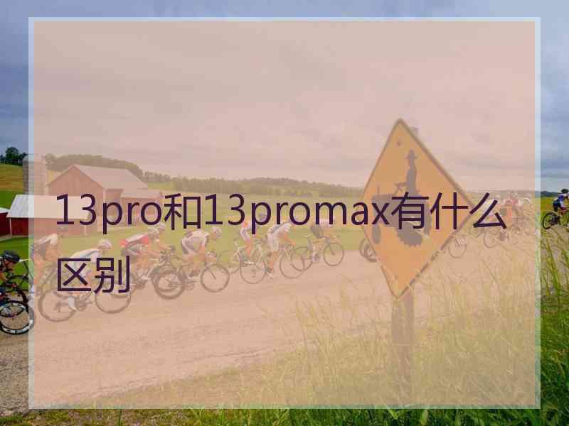 13pro和13promax有什么区别