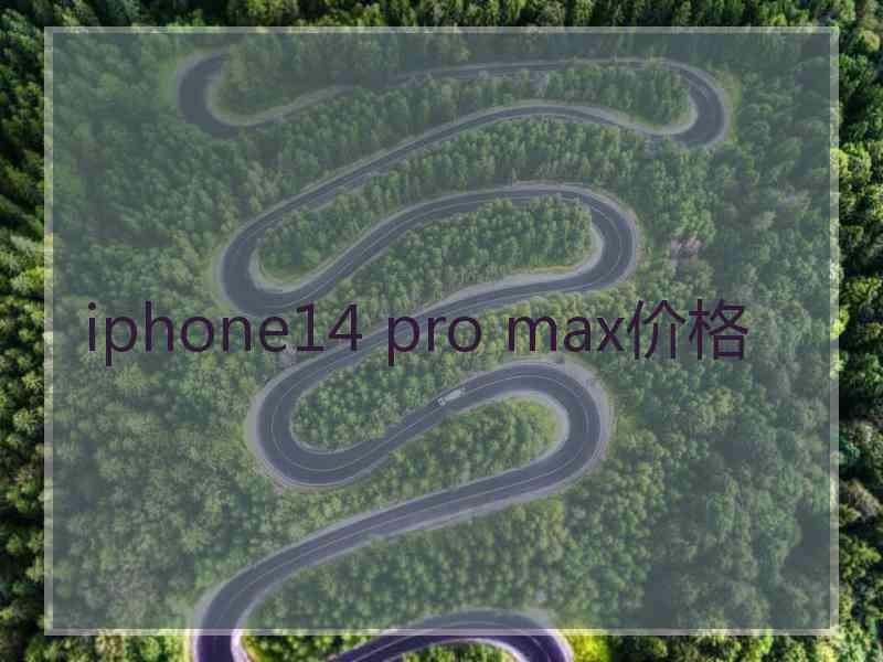 iphone14 pro max价格