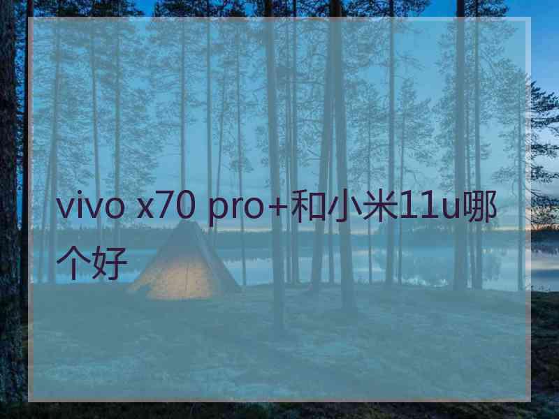 vivo x70 pro+和小米11u哪个好