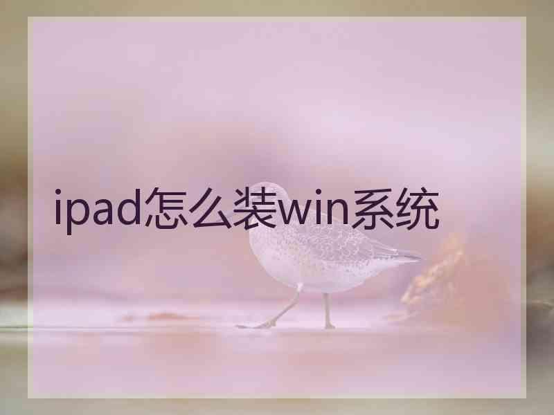 ipad怎么装win系统