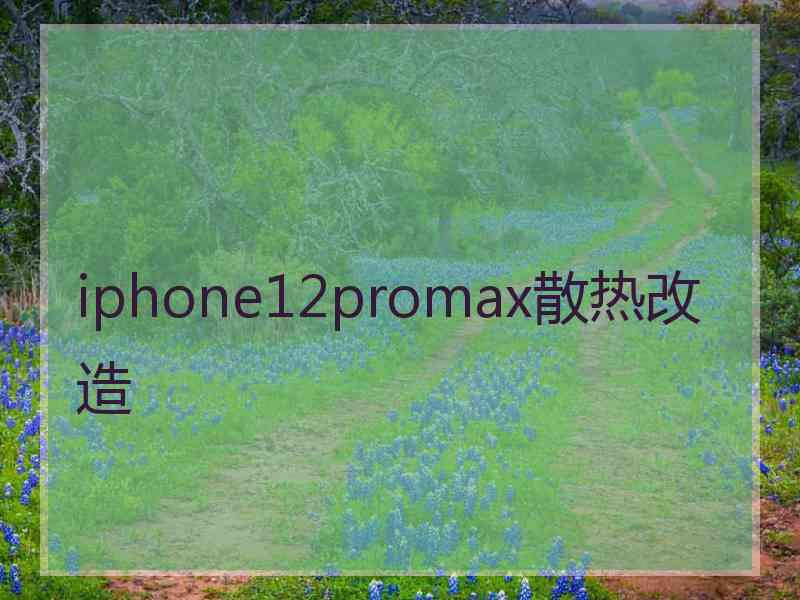 iphone12promax散热改造