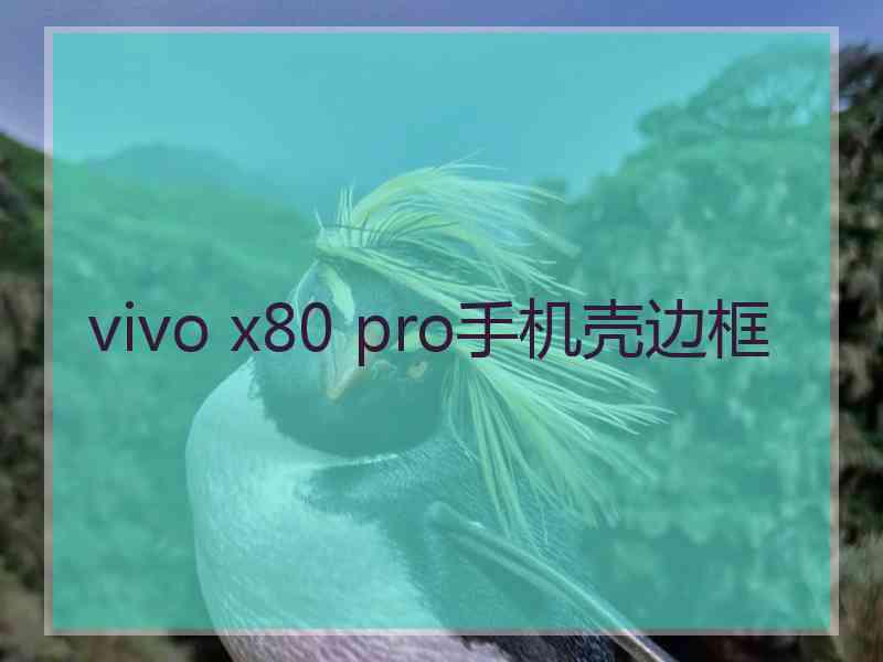 vivo x80 pro手机壳边框