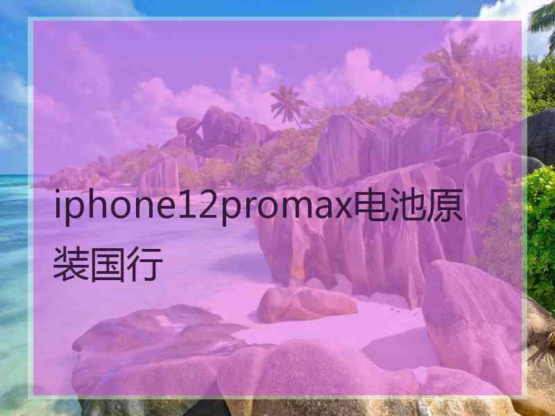 iphone12promax电池原装国行