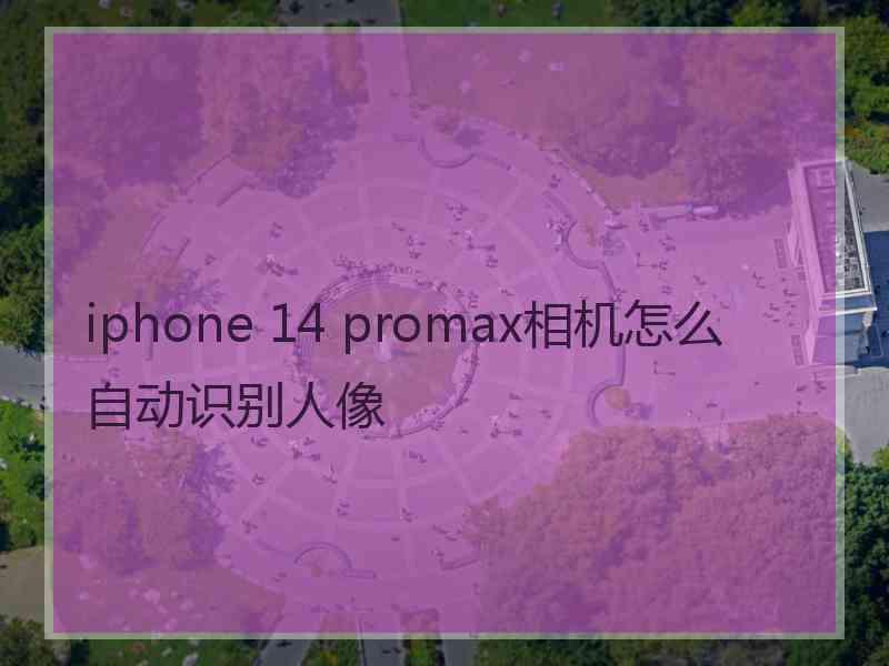 iphone 14 promax相机怎么自动识别人像