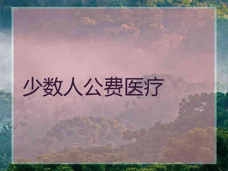 少数人公费医疗