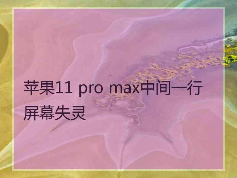 苹果11 pro max中间一行屏幕失灵