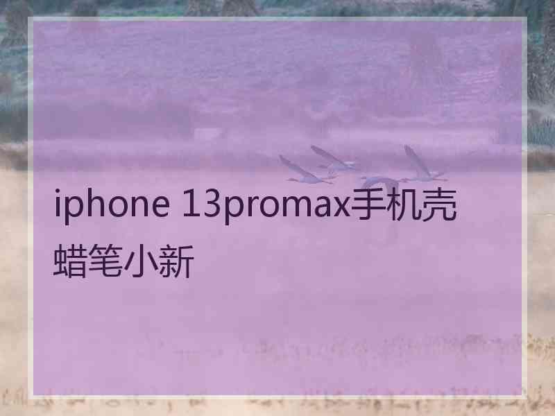 iphone 13promax手机壳蜡笔小新