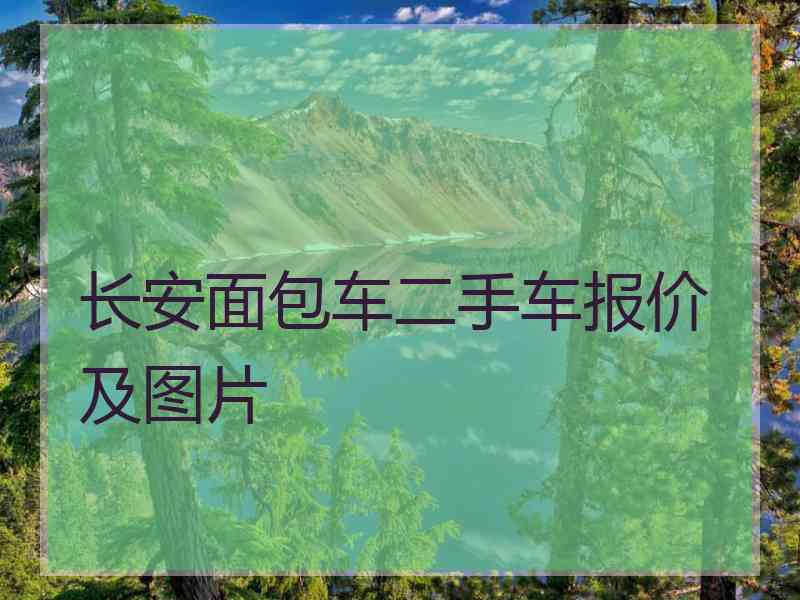 长安面包车二手车报价及图片