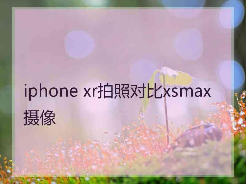 iphone xr拍照对比xsmax摄像