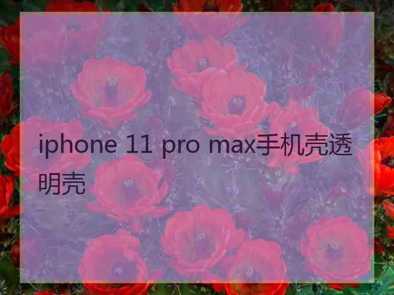 iphone 11 pro max手机壳透明壳