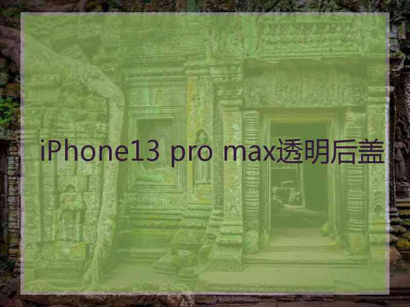 iPhone13 pro max透明后盖