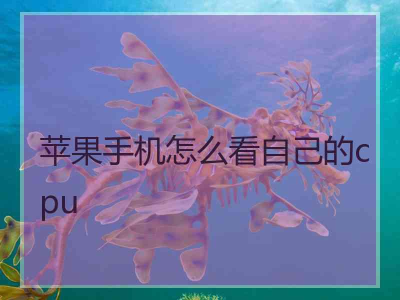 苹果手机怎么看自己的cpu