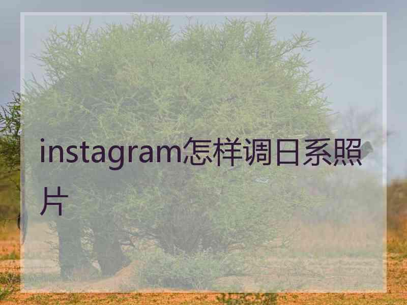 instagram怎样调日系照片