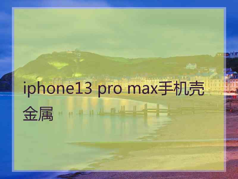 iphone13 pro max手机壳金属