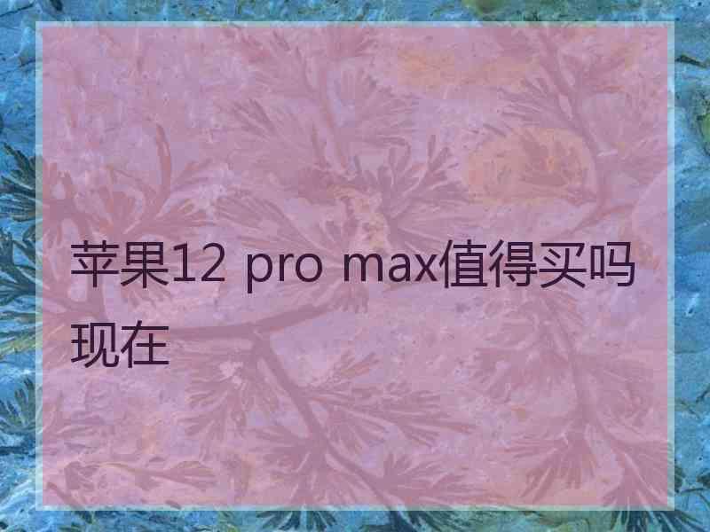 苹果12 pro max值得买吗现在