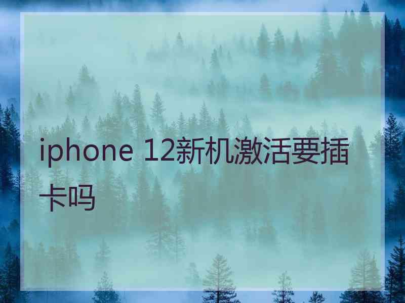 iphone 12新机激活要插卡吗