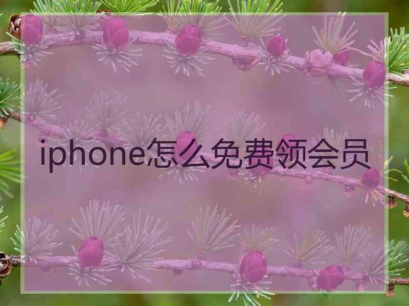 iphone怎么免费领会员