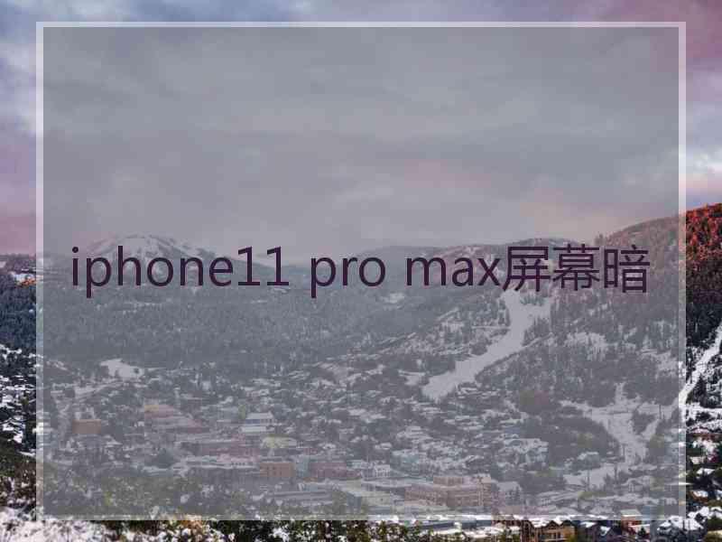 iphone11 pro max屏幕暗