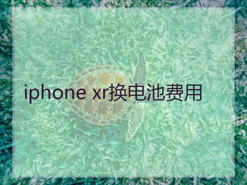 iphone xr换电池费用