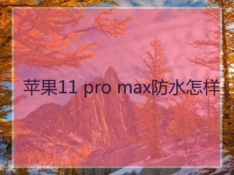 苹果11 pro max防水怎样