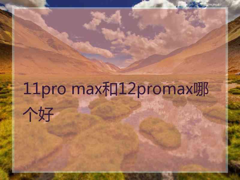 11pro max和12promax哪个好