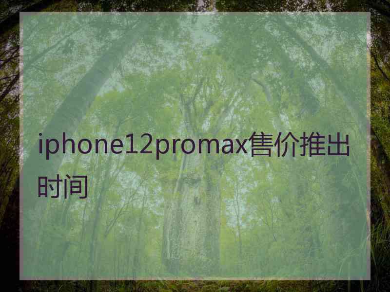 iphone12promax售价推出时间