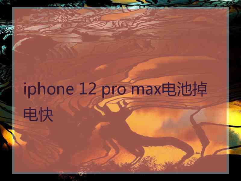 iphone 12 pro max电池掉电快