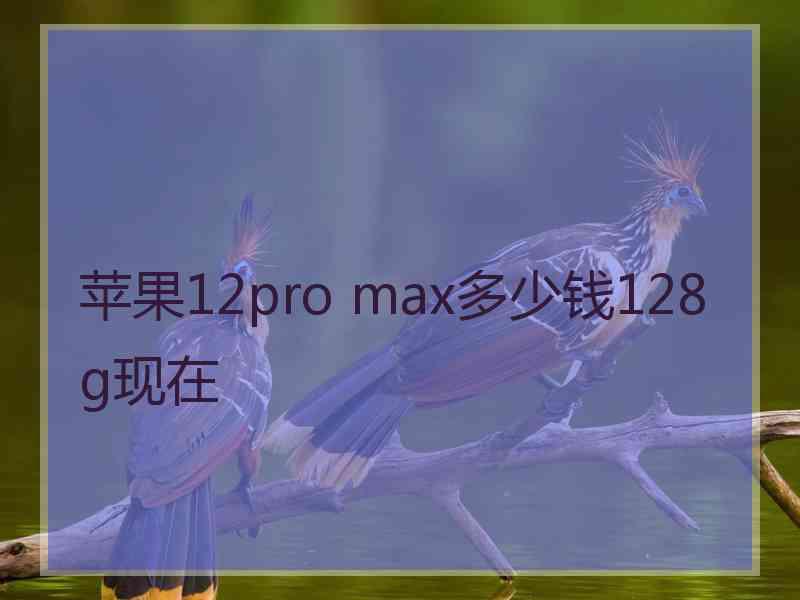 苹果12pro max多少钱128g现在